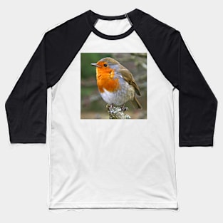 Red Red Robin Baseball T-Shirt